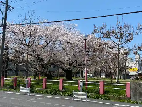 稲荷神社の自然