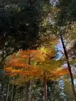 子安宮(東京都)