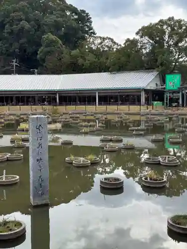 太宰府天満宮(福岡県)