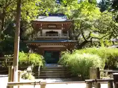 浄智寺(神奈川県)