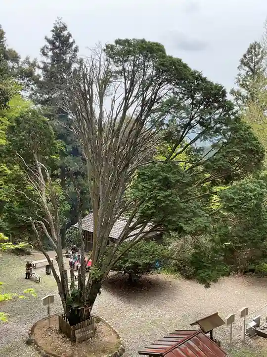 日龍峯寺(高澤観音)(美濃清水)(岐阜県)