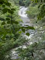 月居観音堂（月居山光明寺観音堂）の自然