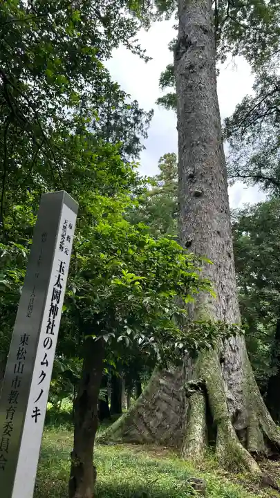 玉太岡神社(埼玉県)