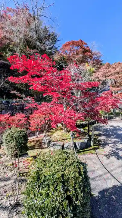 長谷寺(奈良県)