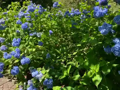 有珠善光寺(北海道)