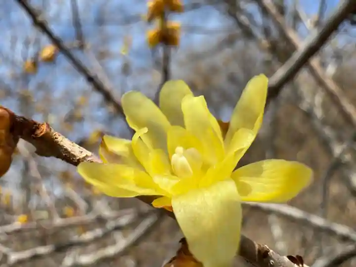 出雲大社相模分祠の{uncategorized: "未分類", other: "その他", undefined: "問題あり", building: "その他建物", grave: "お墓", sacred_gate: "鳥居", guardian: "狛犬", statue: "像", buddha: "仏像", history: "歴史", nature: "自然", garden: "庭園", animal: "動物", pagoda: "塔", temizu: "手水舎", mountain_gate: "山門・神門", sanctuary: "本殿・本堂", subordinate: "末社・摂社", art: "芸術", scenery: "景色", jizo: "地蔵", ema: "絵馬", goshuin: "御朱印", omikuji: "おみくじ", items: "授与品その他", amulet: "お守り", goshuincho: "御朱印帳", eats: "食事", festival: "お祭り", votive_dance: "神楽", shichigosan: "七五三参", wedding: "結婚式", experience: "体験その他", initially: "初詣", around: "周辺", anti_infection: "感染症対策"}