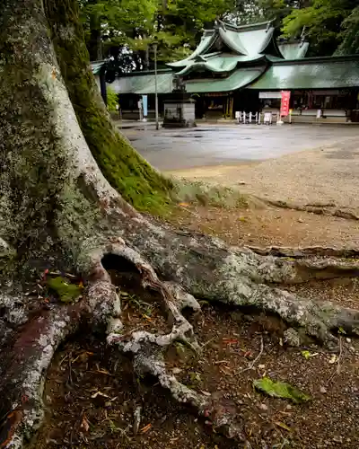 一言主神社(茨城県)