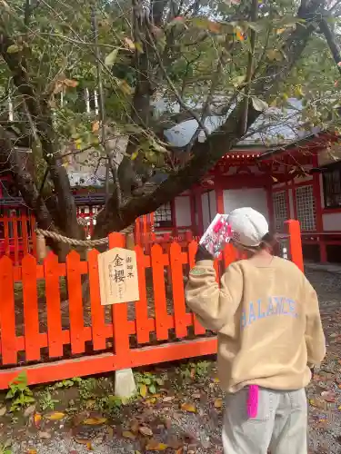 金櫻神社(山梨県)