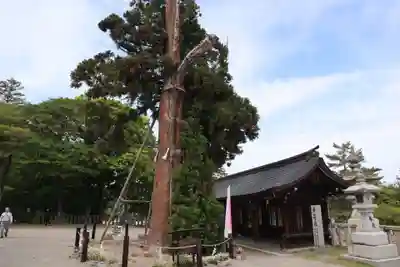 吉備津彦神社(岡山県)