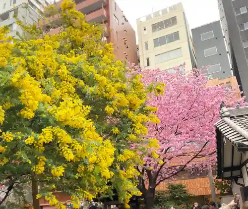 蔵前神社(東京都)