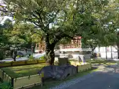 輪王寺両大師堂(寛永寺輪王殿)の自然