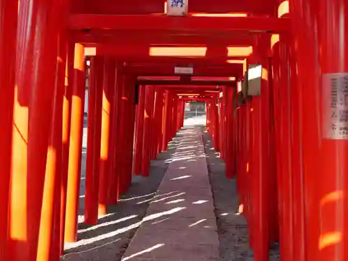 小泉稲荷神社の鳥居