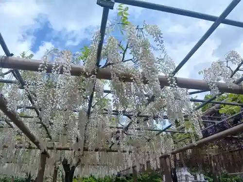曼陀羅寺(愛知県)