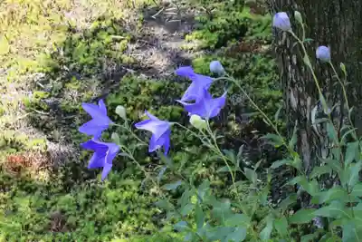 天得院(京都府)