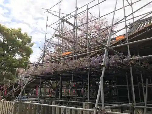 葛井寺(大阪府)