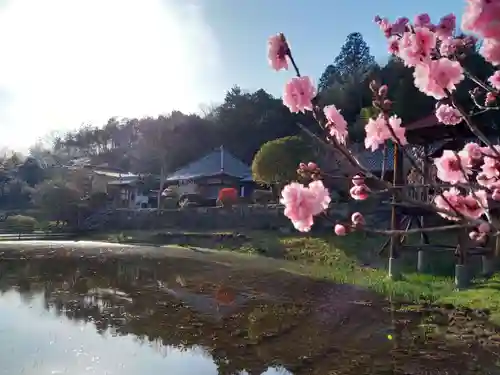 棲真寺の建物その他