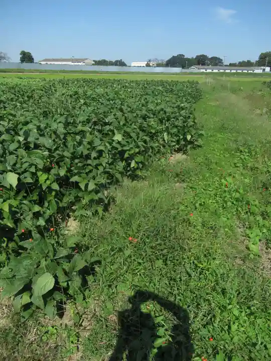 神明神社(千葉県)