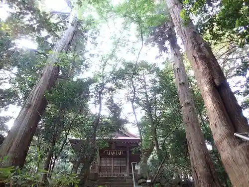 大野見宿禰命神社の本殿