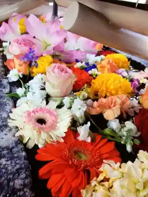 鳩森八幡神社(東京都)