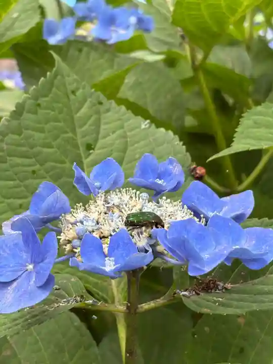 西野神社(北海道)