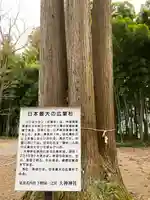 大神神社の自然