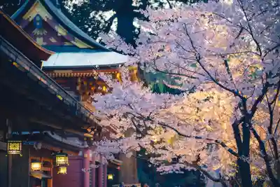 志波彦神社・鹽竈神社(宮城県)