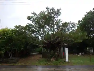 伊計神社の自然