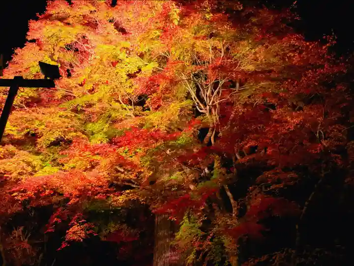 談山神社の自然