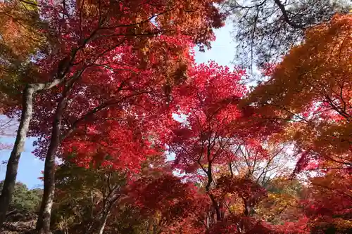 笠置寺の景色