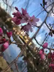 大生郷天満宮の自然