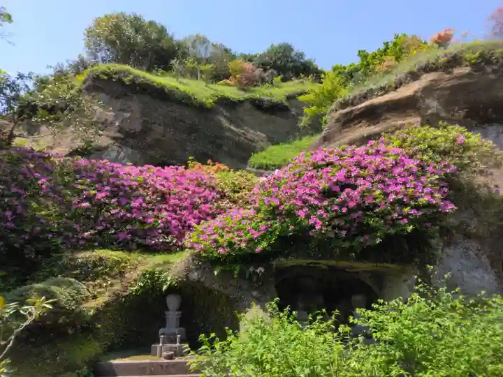 海蔵寺(神奈川県)