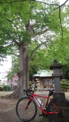 武輝神社の自然