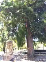 日枝神社(富山県)