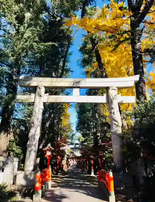 馬橋稲荷神社の鳥居