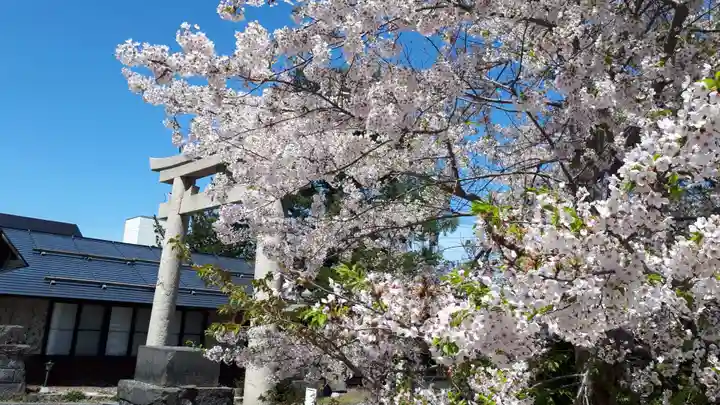 住吉神社の自然