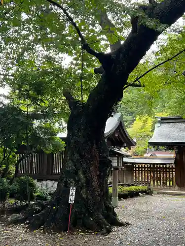 駒形神社(岩手県)