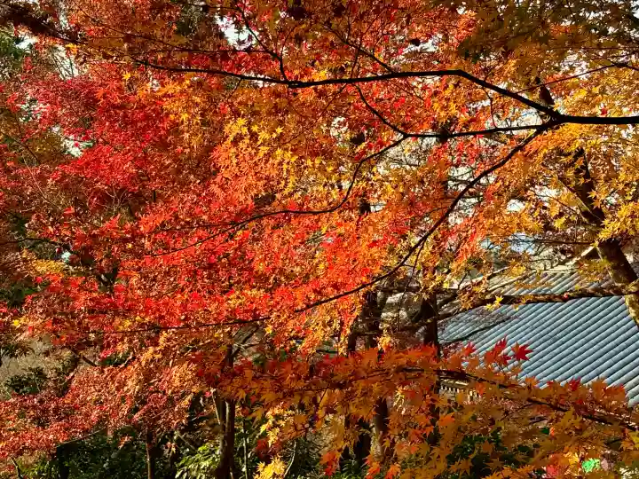 禅林寺(永観堂)(京都府)