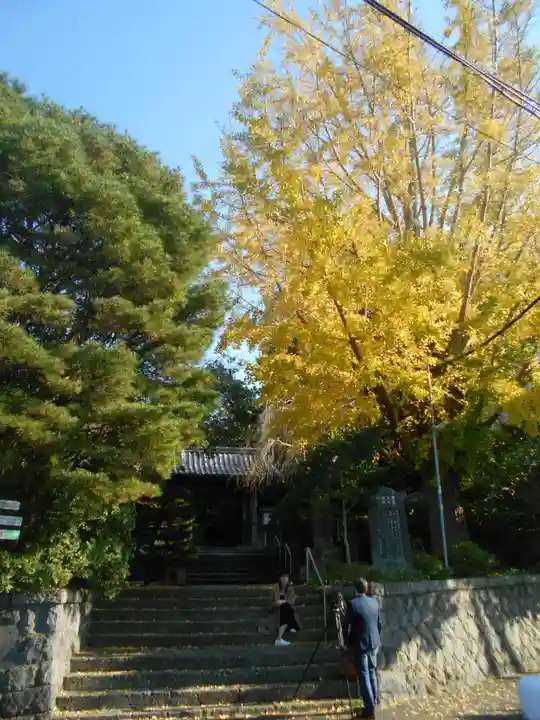安國論寺(安国論寺)のその他建物