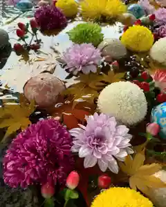 滑川神社 - 仕事と子どもの守り神の手水舎(2020年12月15日(火) 12時20分26秒投稿)