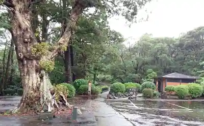 蓮着寺(静岡県)