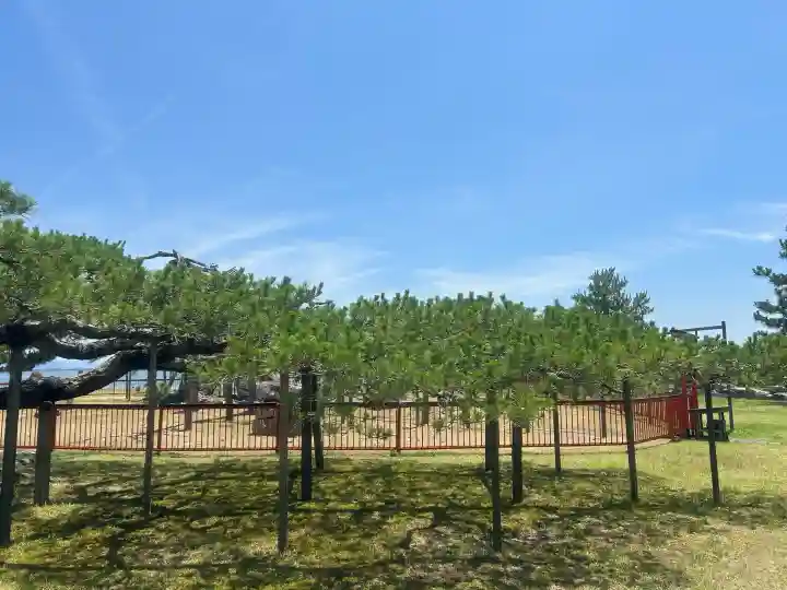 唐崎神社の{uncategorized: "未分類", other: "その他", undefined: "問題あり", building: "その他建物", grave: "お墓", sacred_gate: "鳥居", guardian: "狛犬", statue: "像", buddha: "仏像", history: "歴史", nature: "自然", garden: "庭園", animal: "動物", pagoda: "塔", temizu: "手水舎", mountain_gate: "山門・神門", sanctuary: "本殿・本堂", subordinate: "末社・摂社", art: "芸術", scenery: "景色", jizo: "地蔵", ema: "絵馬", goshuin: "御朱印", omikuji: "おみくじ", items: "授与品その他", amulet: "お守り", goshuincho: "御朱印帳", eats: "食事", festival: "お祭り", votive_dance: "神楽", shichigosan: "七五三参", wedding: "結婚式", experience: "体験その他", initially: "初詣", around: "周辺", anti_infection: "感染症対策"}