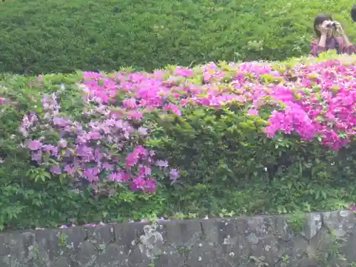 鶴岡八幡宮の庭園