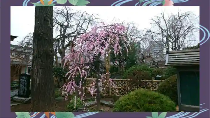 芳林寺(埼玉県)