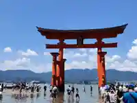 厳島神社(広島県)