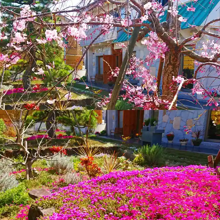 寿量山 速成寺の自然