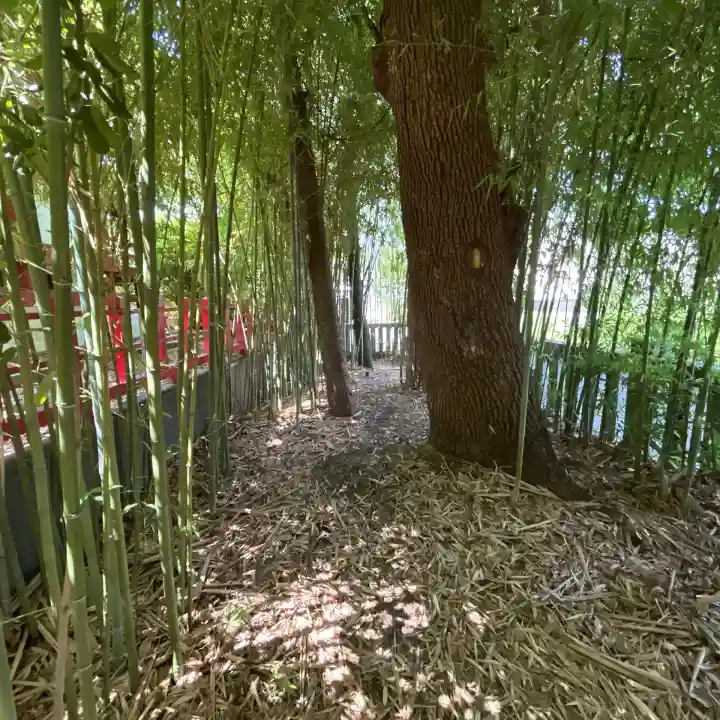 東神奈川熊野神社(神奈川県)