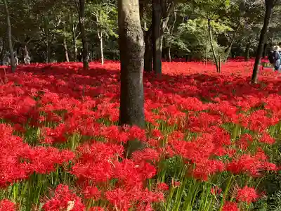 高麗神社(埼玉県)