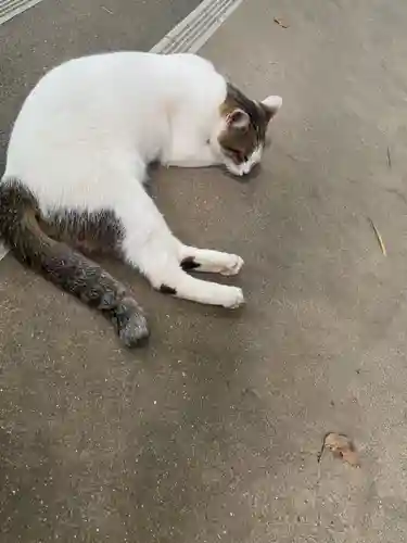 枚聞神社の御朱印