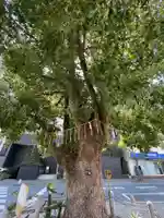 太田姫稲荷神社(東京都)
