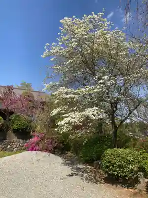 比々多神社の自然